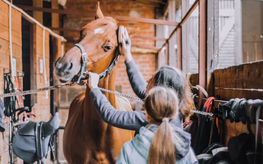 Le problème du changement d’écurie : cas vécu de communication animale avec un cheval